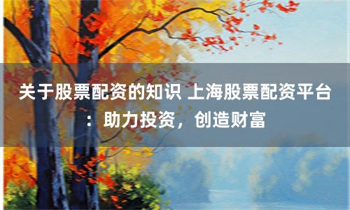 关于股票配资的知识 上海股票配资平台：助力投资，创造财富